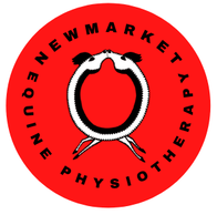 NEWMARKET EQUINE PHYSIOTHERAPY